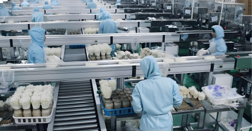 动力滚筒输送线：如何凭硬核设计，把稳定输送做到实处？